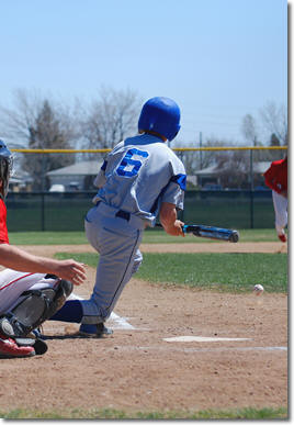 BuntDown Training Bats